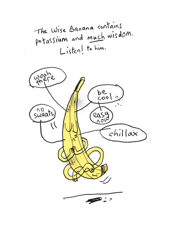 wise-banana-sarah-bowie