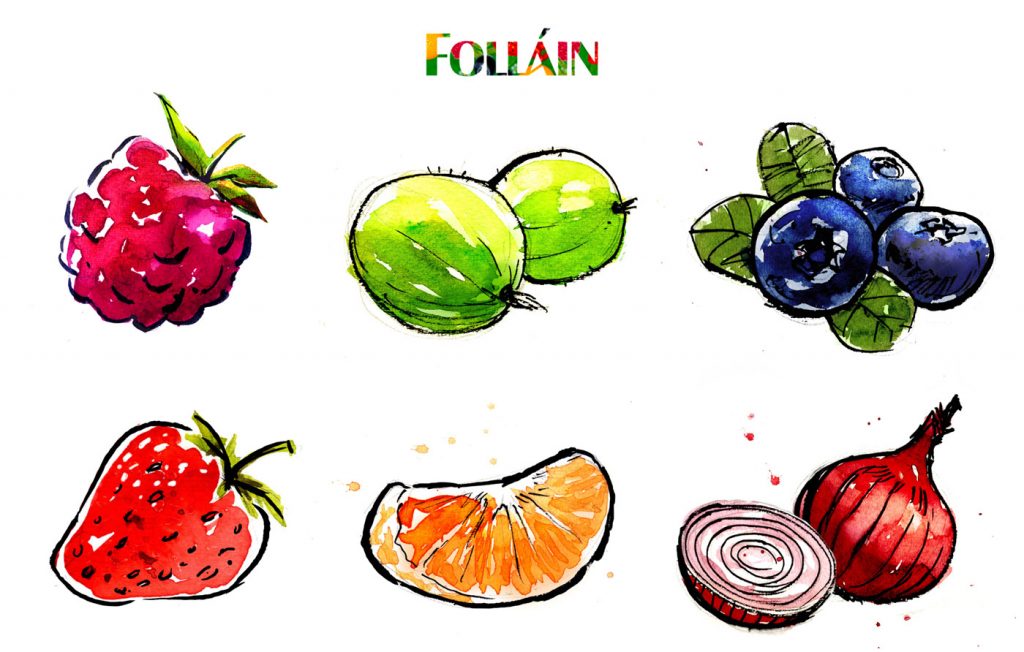 Watercolour and ink illustrations for Follain Jam.