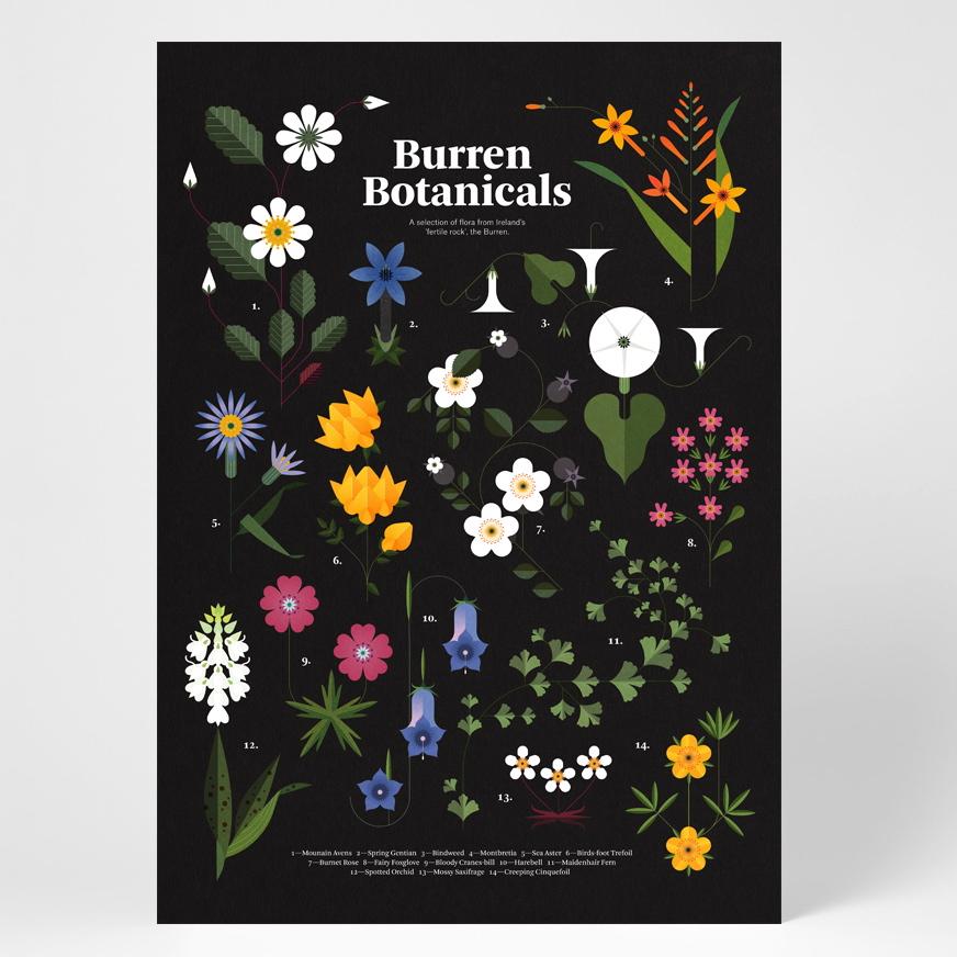 1_Burren_Botanicals