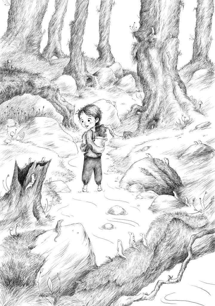 The rock wood newts