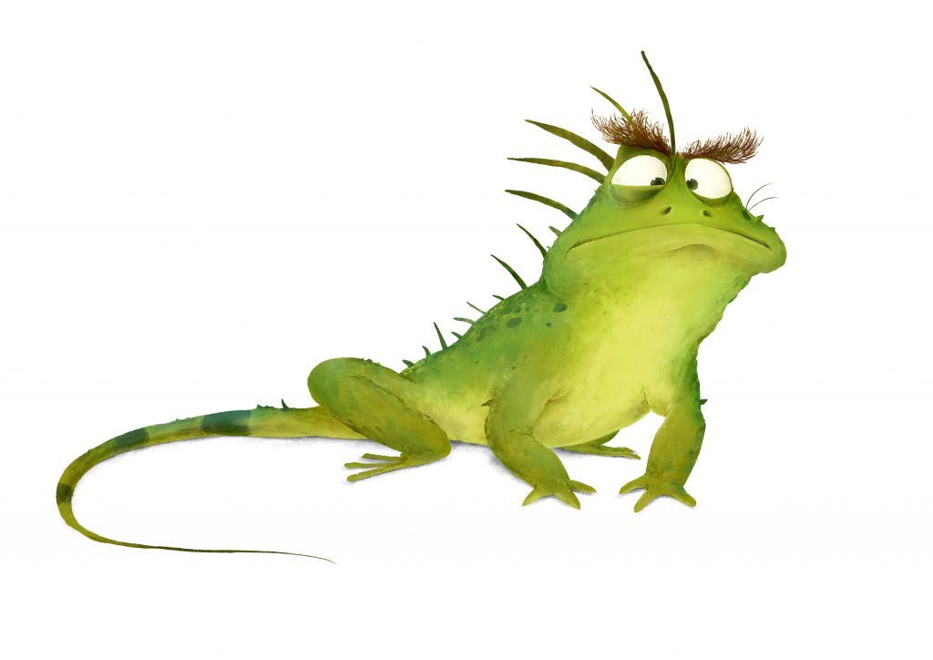 iguana Colour Final