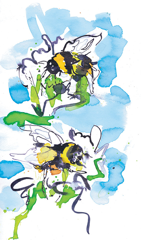 Watercolour Brush Bumble Bees
