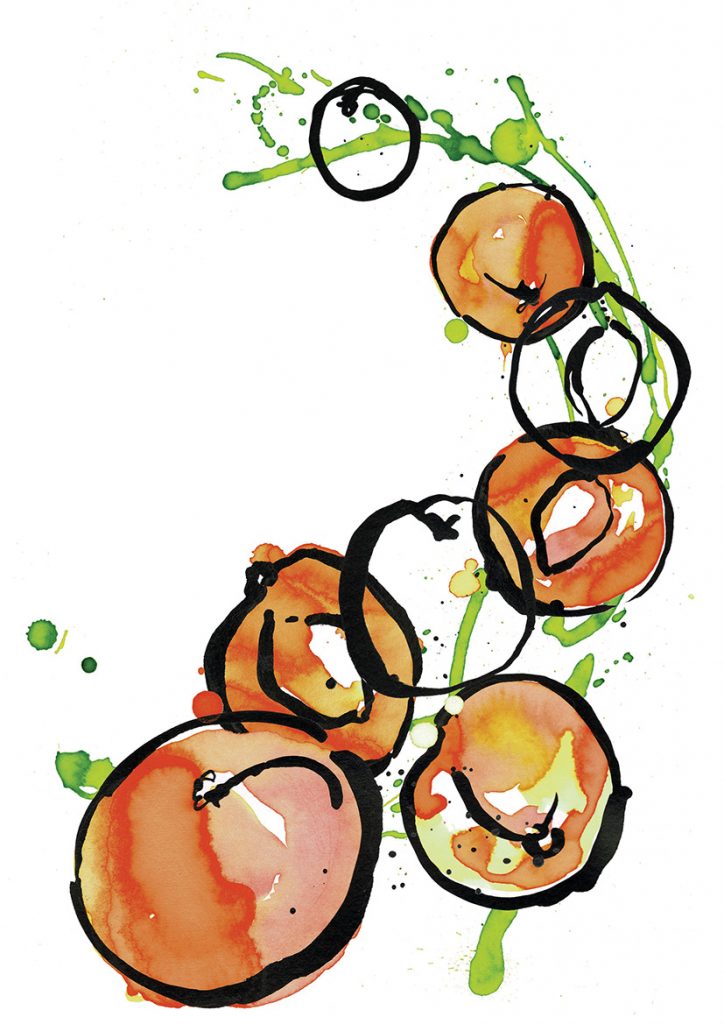 Ink Nectarines Fruit