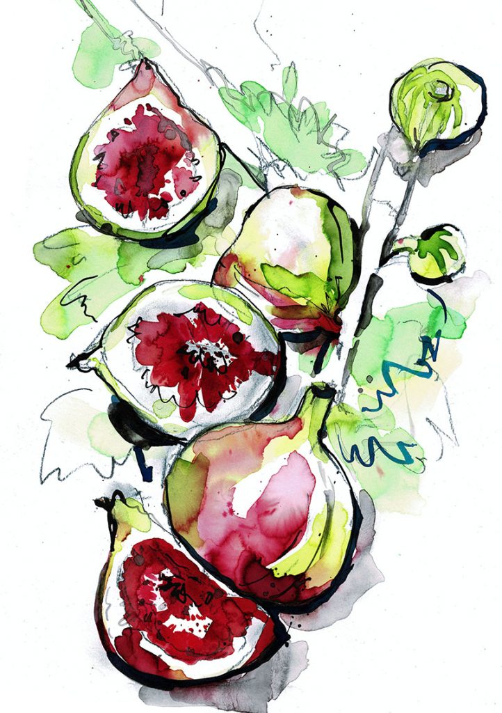 Figs