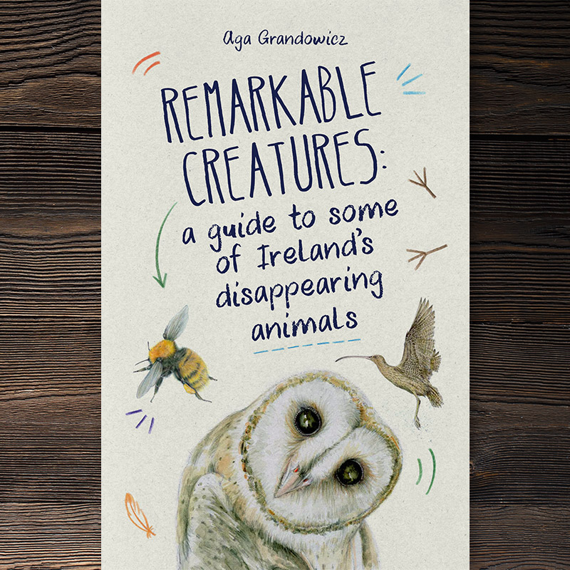Aga-Grandowicz_Remarkable-Creatures_book-cover_flat-on-wood
