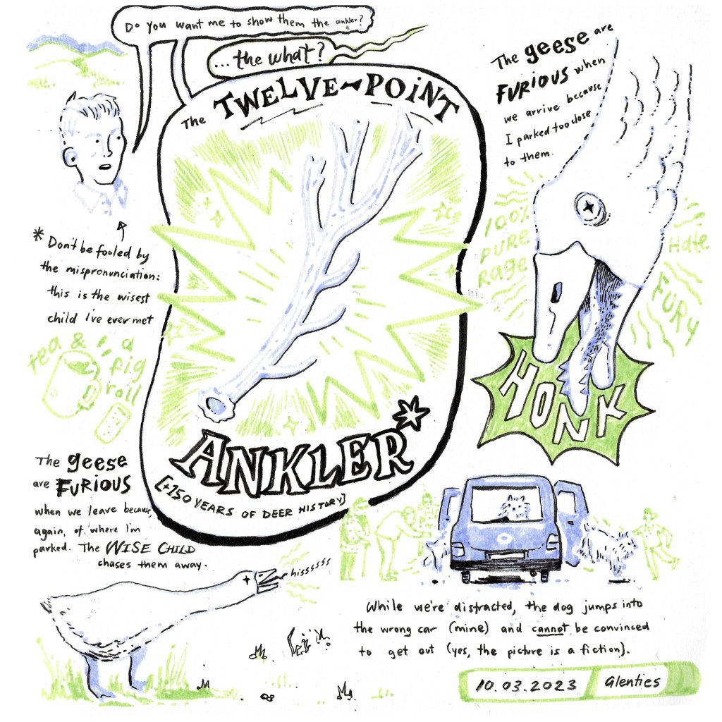 Journal Page - Ankler